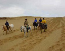 Sdamerika, Argentinien - Uruguay - Paraguay - Brasilien: Die Geschichte der Flsse - Ausritte an der Estancia Finca Piedra